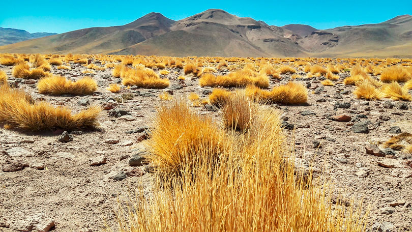 Lagunas Altiplânicas em San Pedro de Atacama, Deserto de Atacama