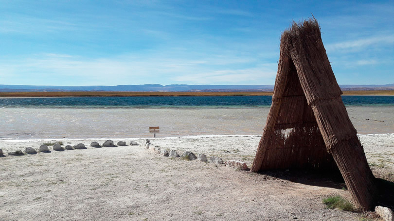 Um passeio pelas Laguna Baltinache e Laguna Cejar, Atacama