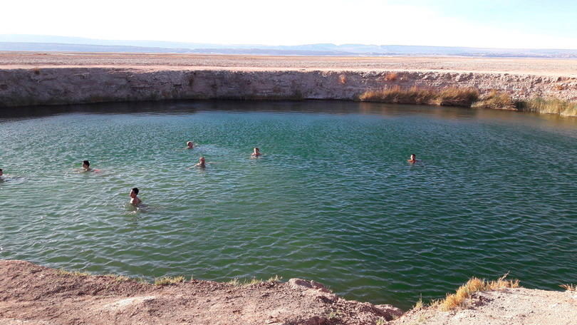 Um passeio em Ojos de Salar, Atacama Laguna Cejar